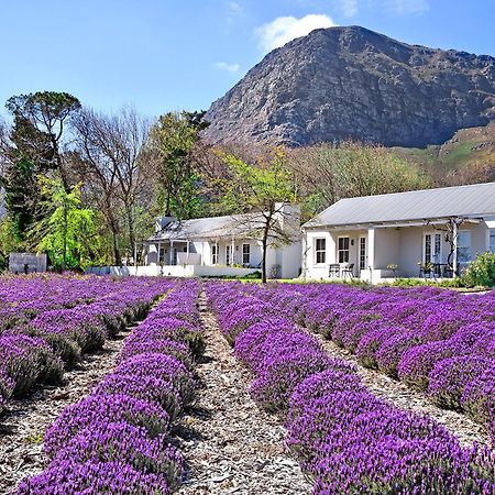 弗朗斯胡克 薰衣草农场旅馆酒店 外观 照片
